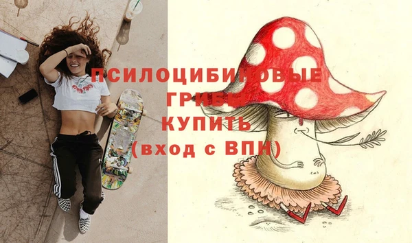 шишки Богданович