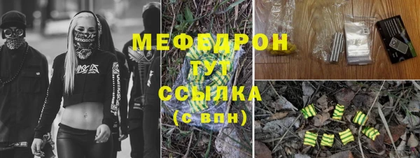 шишки Богданович