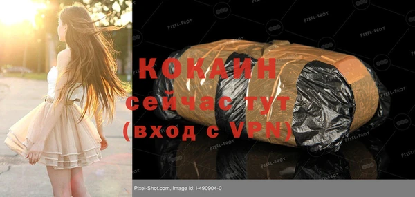 шишки Богданович