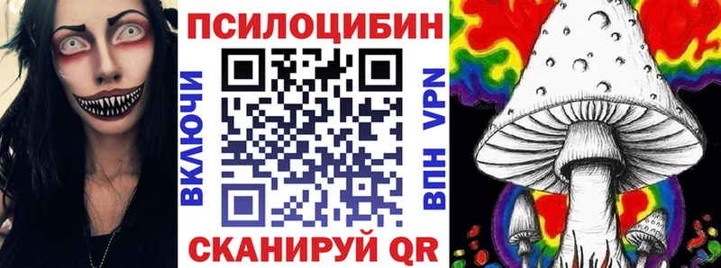 Псилоцибиновые грибы Psilocybe  Малоярославец 